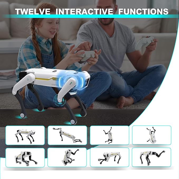 Two people playing with a drone on a couch, with text about twelve interactive functions.
NexTrend UAE Cash on Delivery