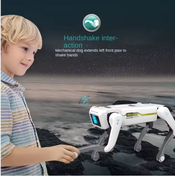 Child interacting with a mechanical dog on a rocky shore with a starry sky.
NexTrend UAE Cash on Delivery